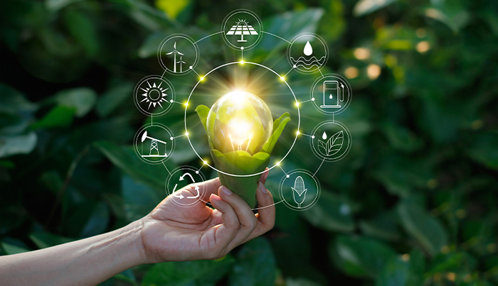 Energy Efficiency Grants Round 2: Transforming SMEs for a Greener Future